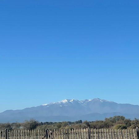 Magnifique Vue Mer F2 45 M2, Parking Surveille Linge De Maison Inclus Canet-en-Roussillon Eksteriør bilde