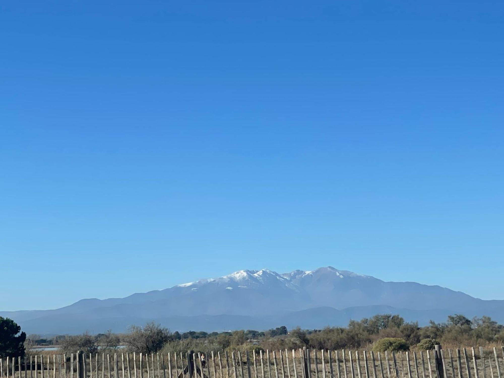 Magnifique Vue Mer F2 45 M2, Parking Surveille Linge De Maison Inclus Canet-en-Roussillon Eksteriør bilde