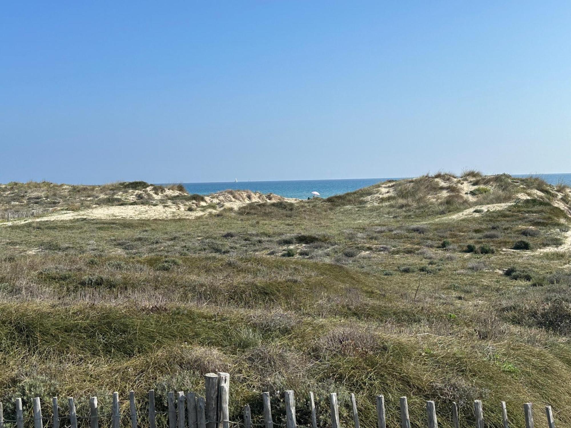 Magnifique Vue Mer F2 45 M2, Parking Surveille Linge De Maison Inclus Canet-en-Roussillon Eksteriør bilde
